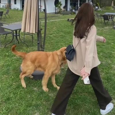 冒牌搭档